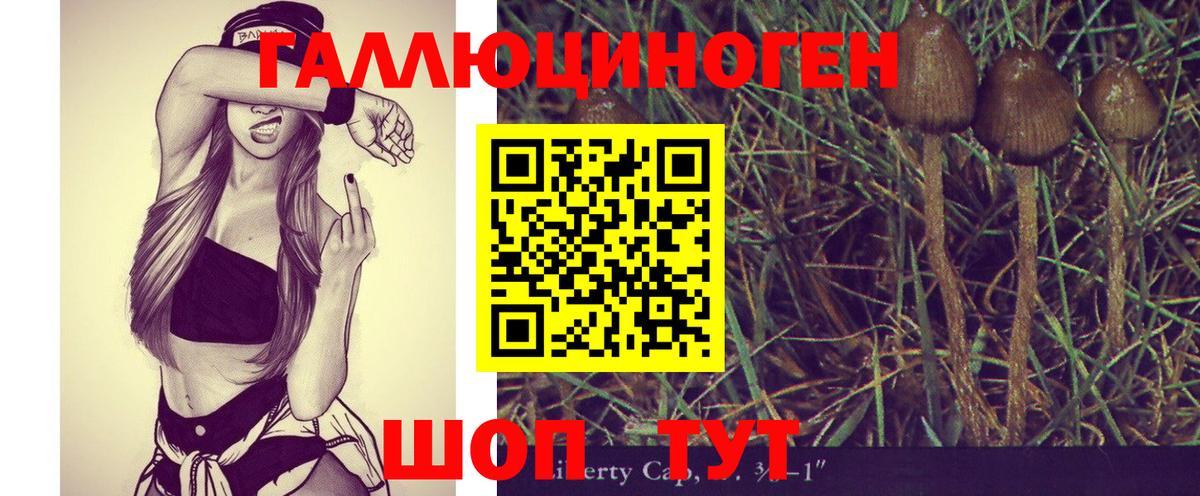Галлюциногенные грибы Psilocybine cubensis Топки