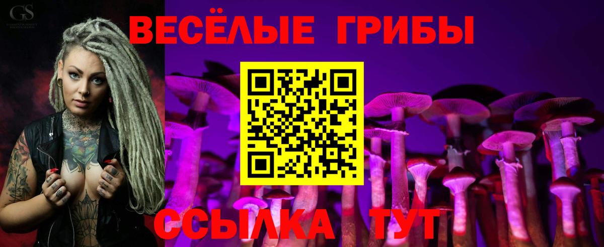 Галлюциногенные грибы Cubensis  Вход с VPN  Топки 